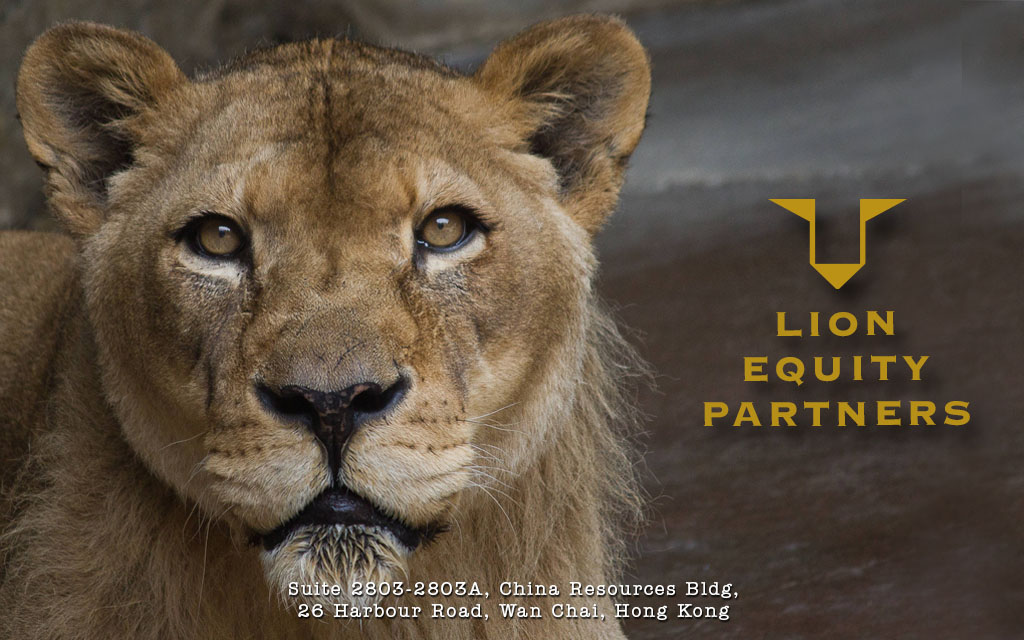 Lion Partners Limited